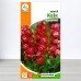 Семена левкоя Квик (красный), 0,1г, ТМ Яскрава